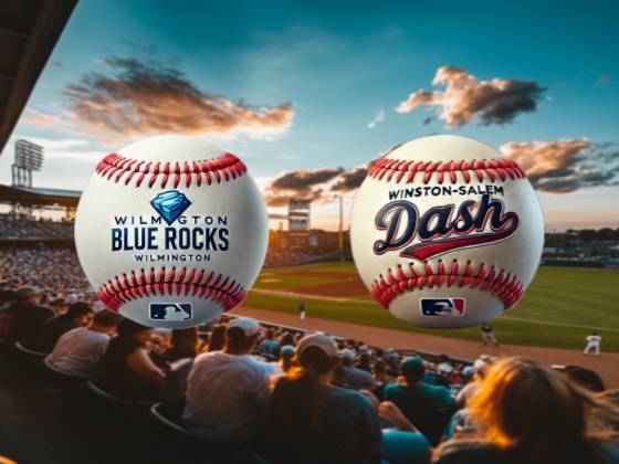 Wilmington Blue Rocks at Winston-Salem Dash